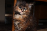 /album/fotogaleria-beatrice/bebe-4-jpg/
